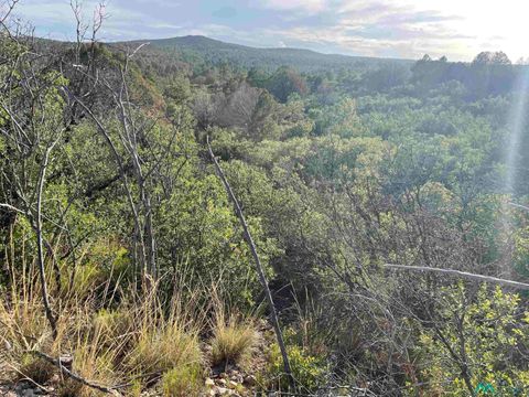 Vacant Land For Sale - 24 La Costa Drive<br/> Timberon, NM 88350