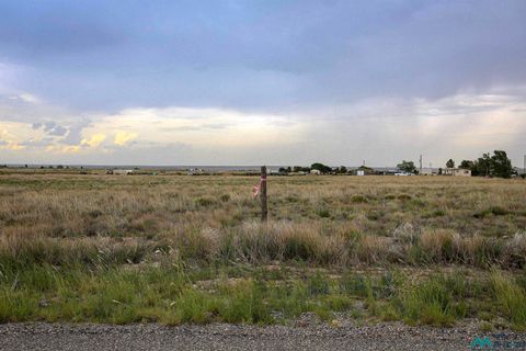 Vacant Land For Sale - 00 Mallard Avenue<br/> Chaves County, Roswell, NM 88201