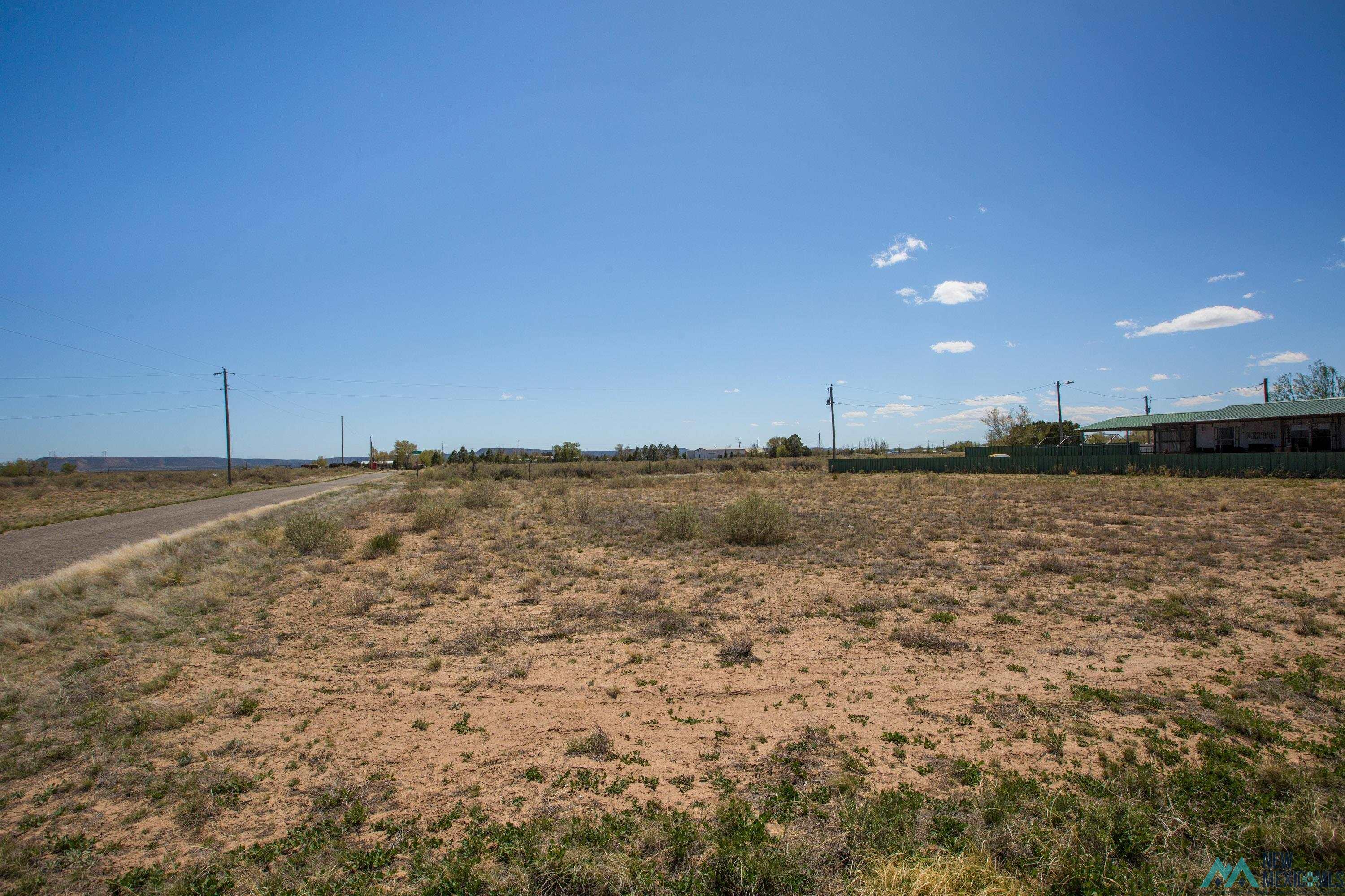 Lot: 1-4 Block 8, Willard, New Mexico image 1