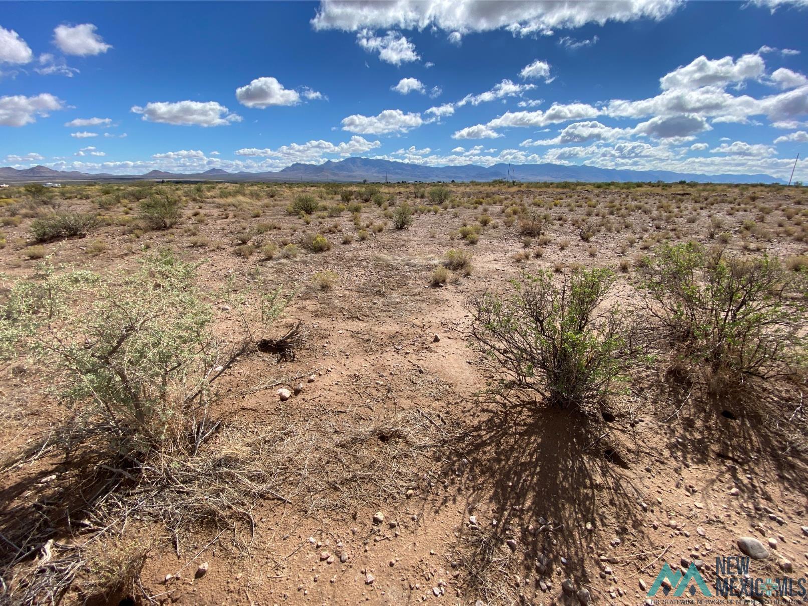 TBD Caballos Drive, Rodeo, New Mexico image 6