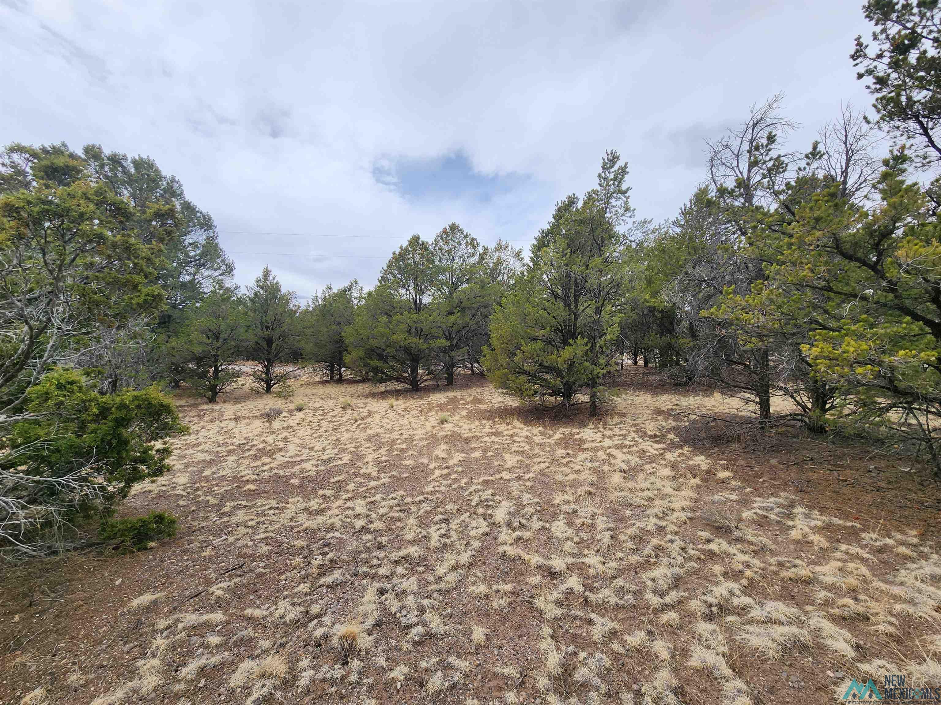 16 Branding Iron Road, Quemado, Texas image 31