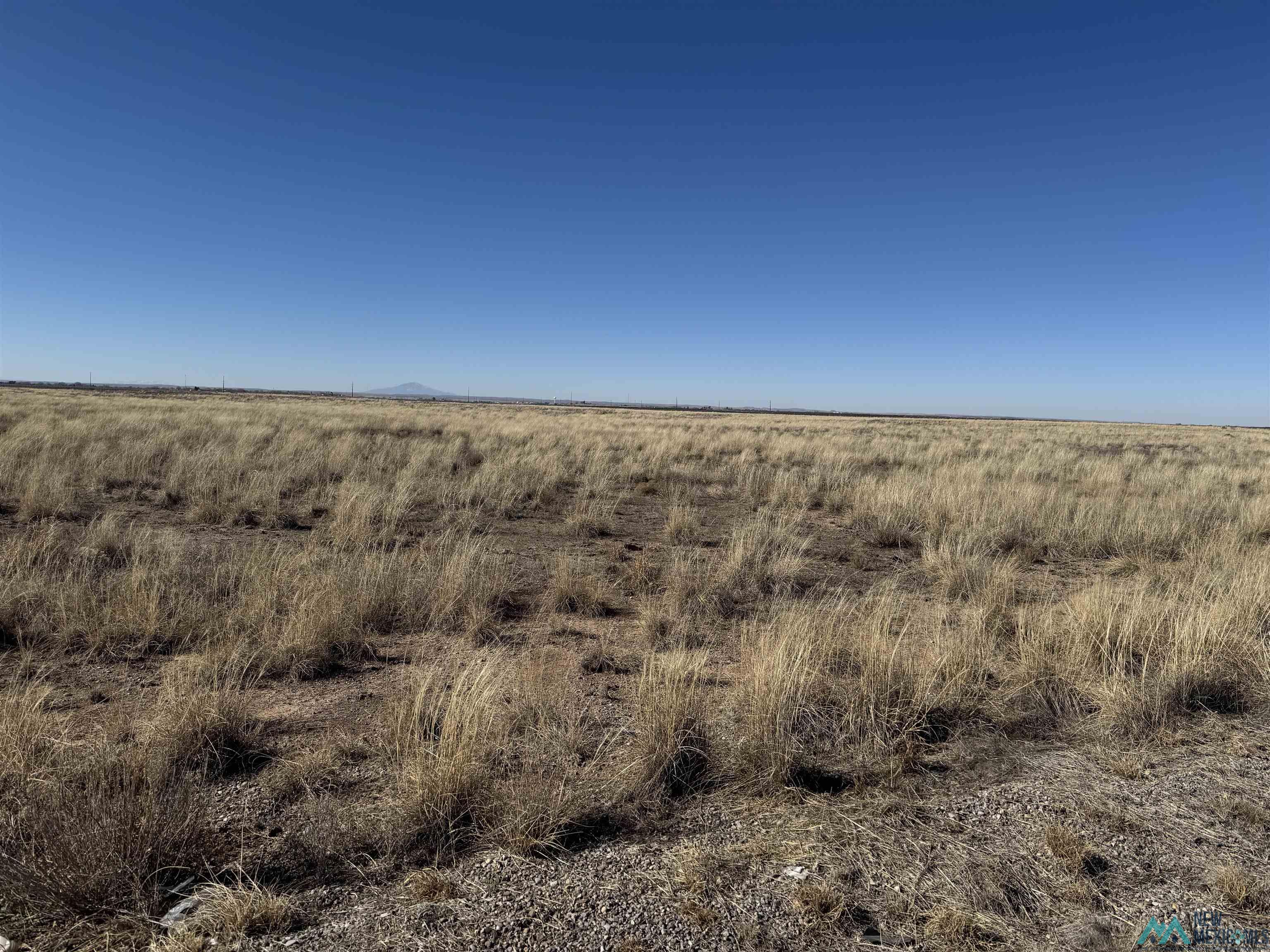 00 Wrangler Circle, Roswell, New Mexico image 4