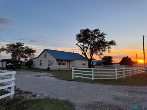 Homes For Sale - 1661 S Roosevelt Road 6 Road<br/> Portales, NM 88130