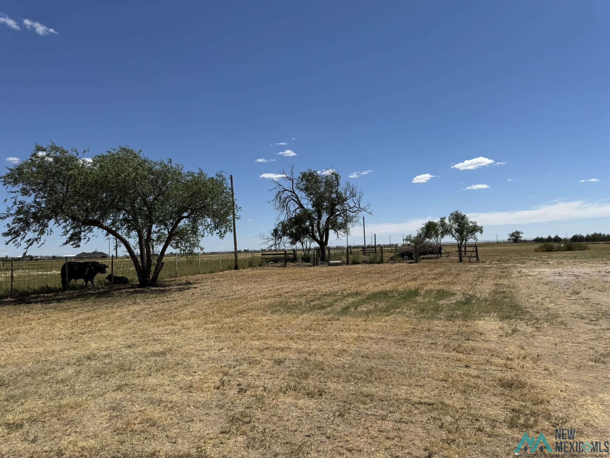 1661 S Roosevelt Road 6 Road, Portales, Texas image 6