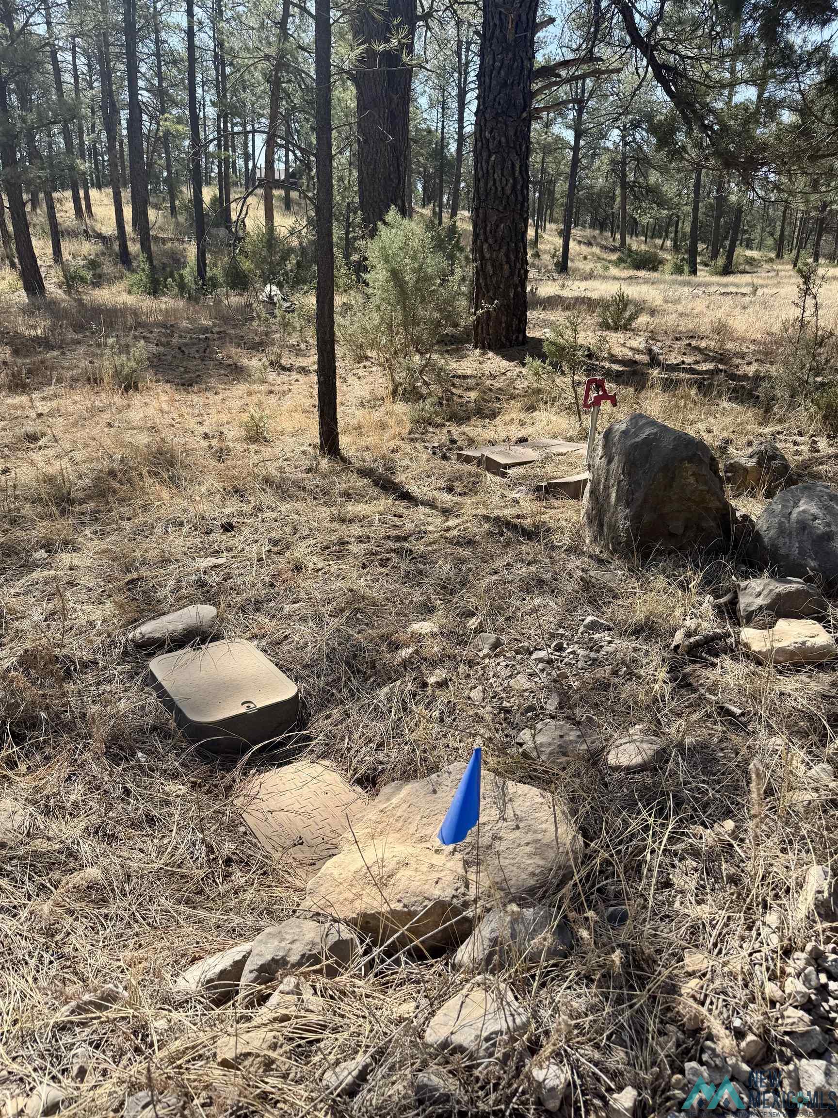 Lot7 Surcingle Avenue, Timberon, Texas image 4