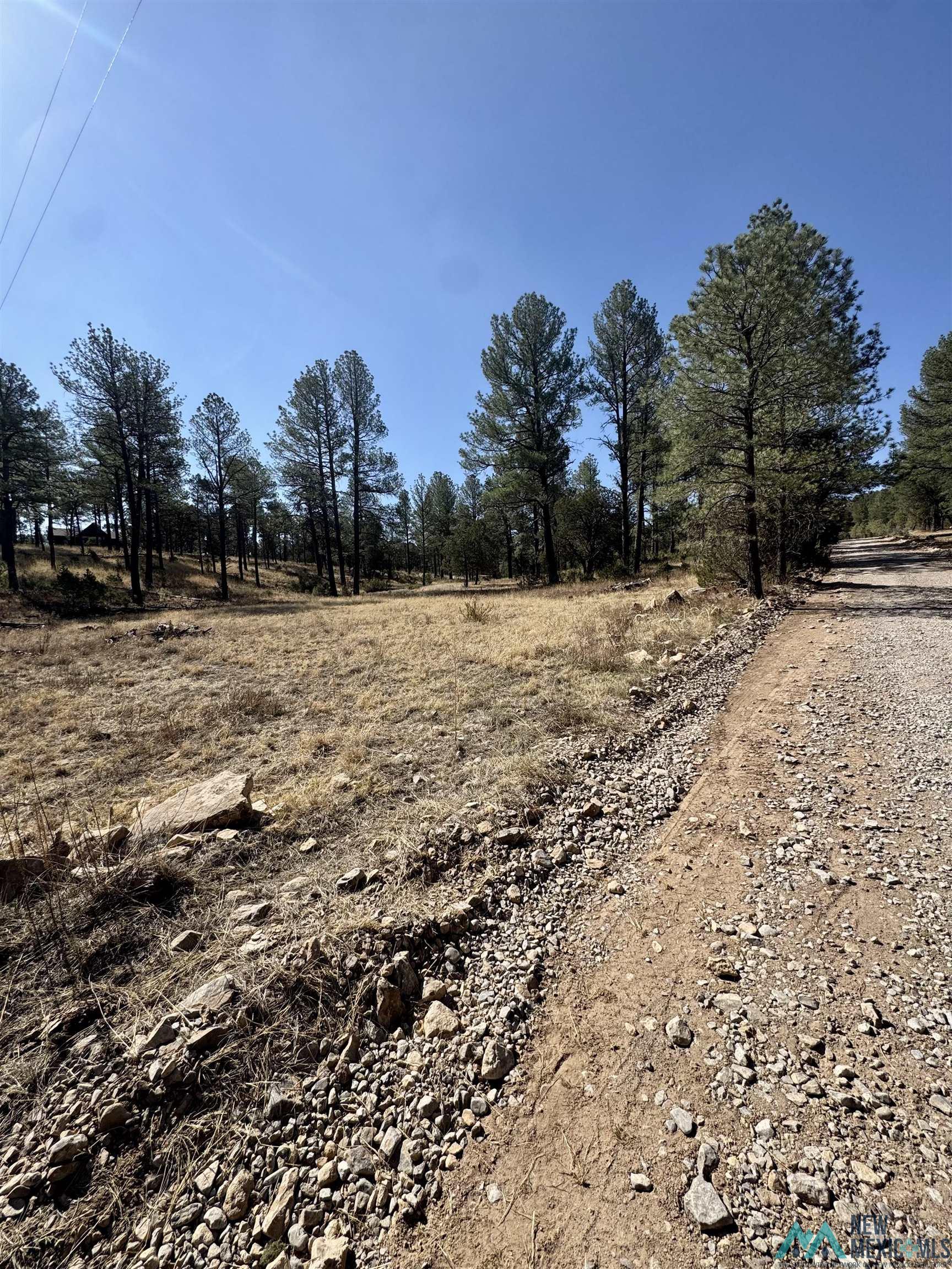 Lot7 Surcingle Avenue, Timberon, Texas image 2