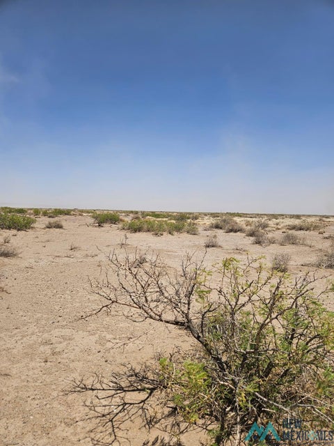 Vacant Land For Sale - XXX Vibroa Rd Se<br/> Luna County, Deming, NM 88030