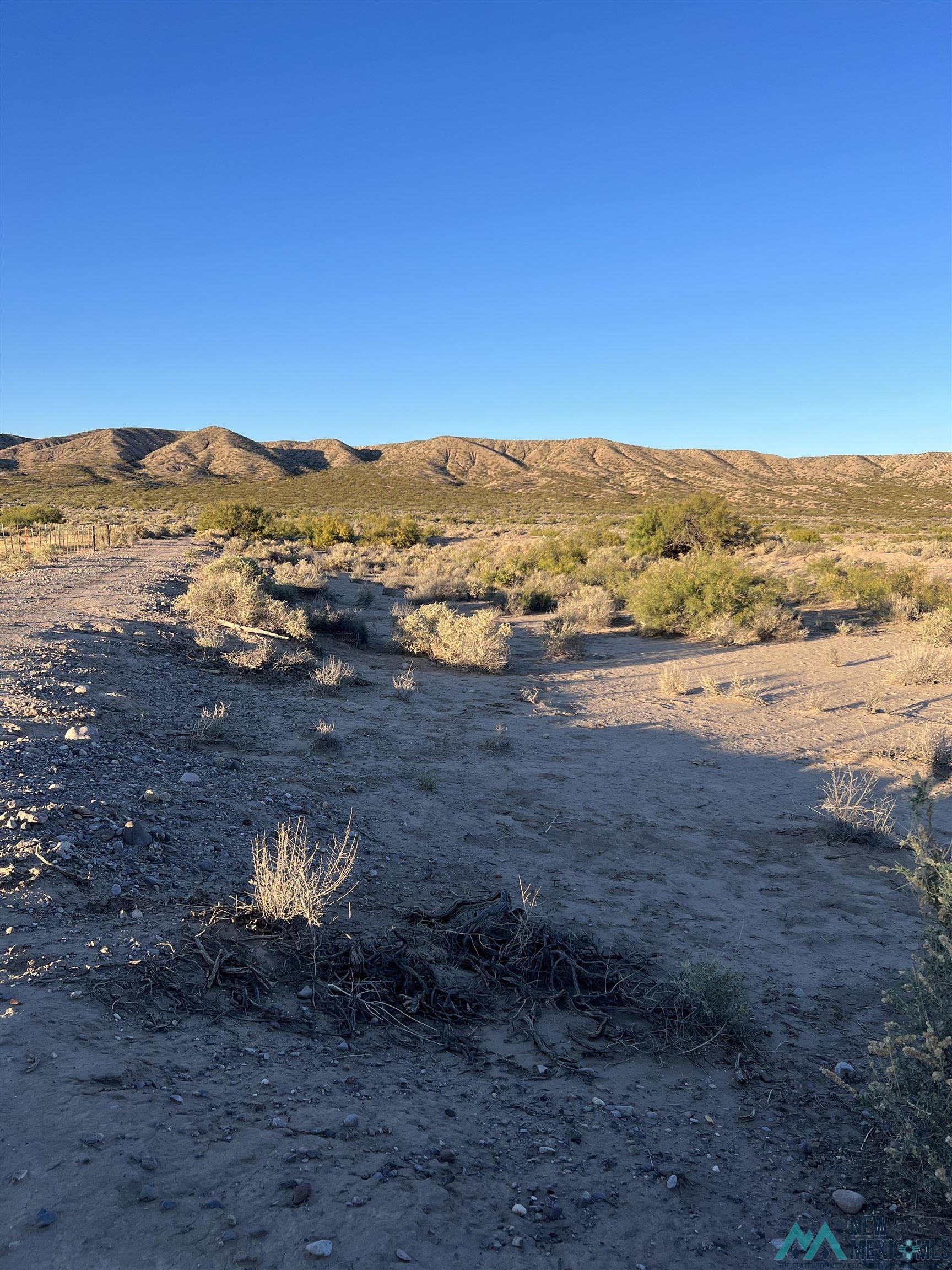 Cattleman Road, Elephant Butte, New Mexico image 2