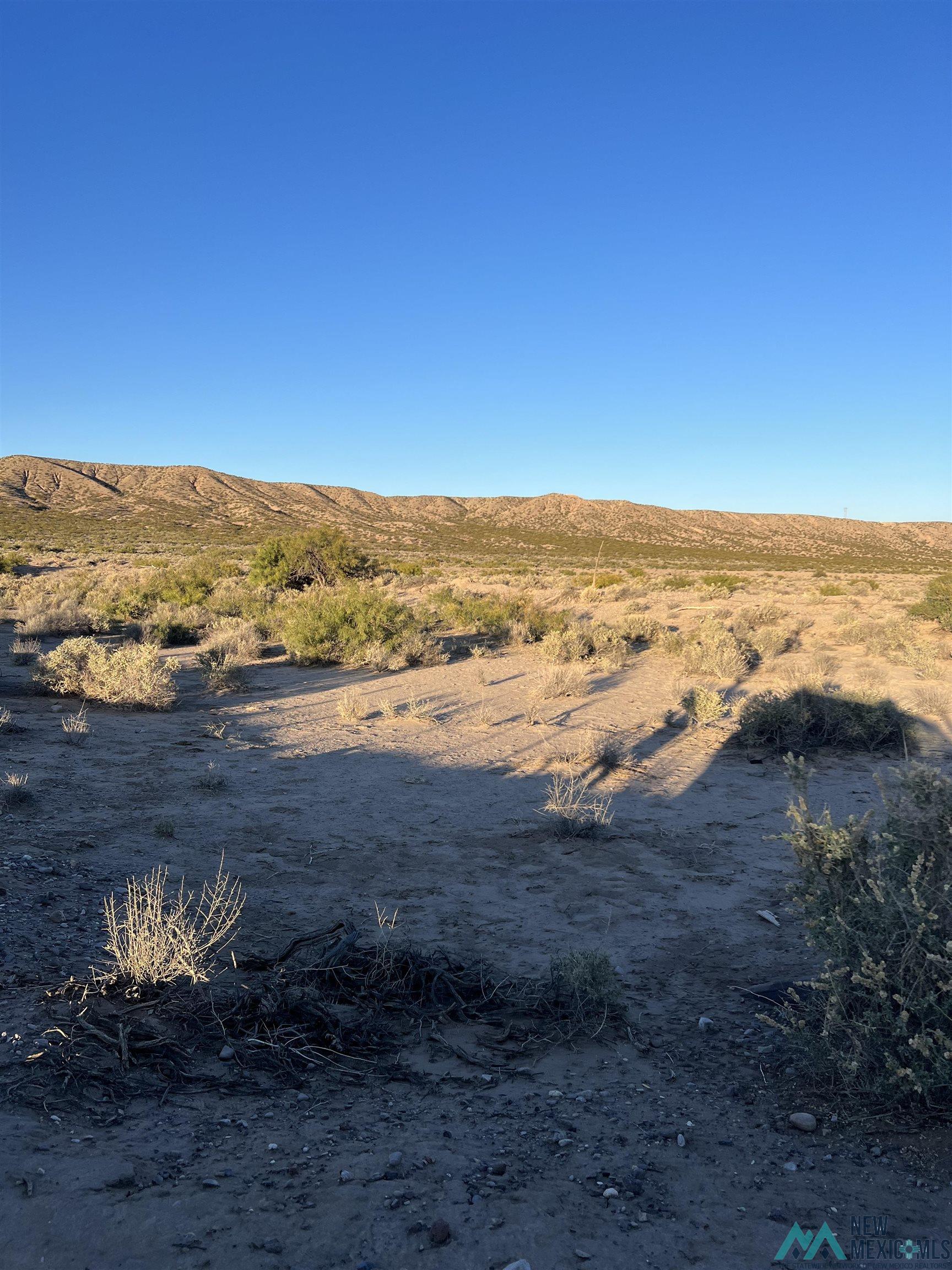 Cattleman Road, Elephant Butte, New Mexico image 1