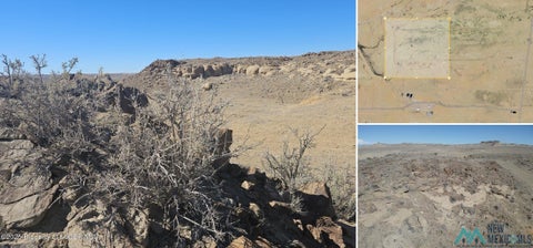 Vacant Land For Sale - NYA Road 6500<br/> San Juan County, Kirtland, NM 87417