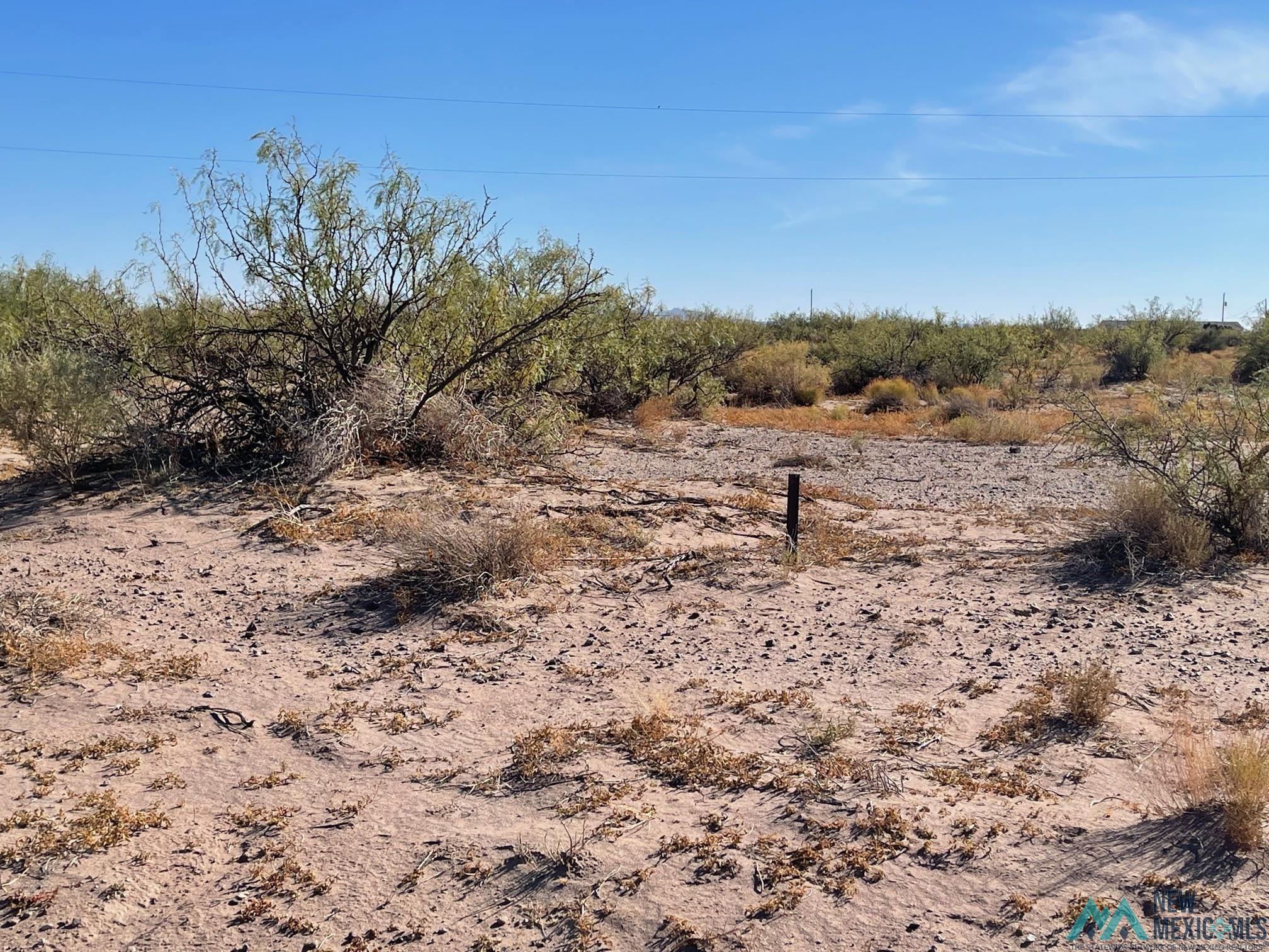 XXXX Barcelona Rd Sw, Deming, New Mexico image 2