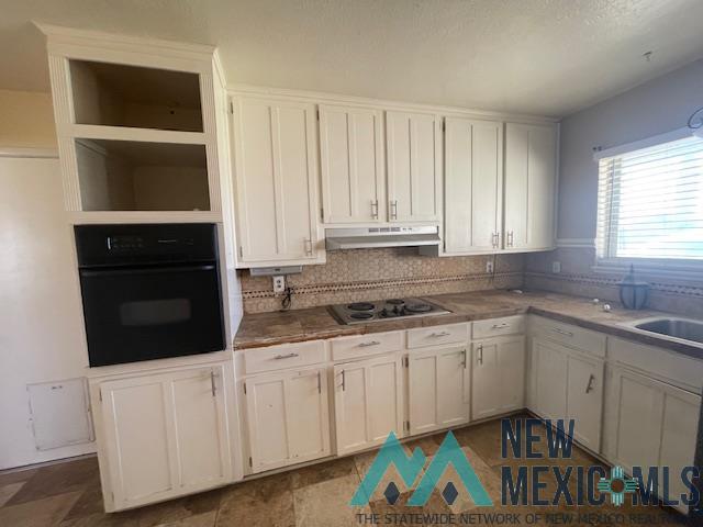 1009 Purdue Drive, Roswell, Texas image 5