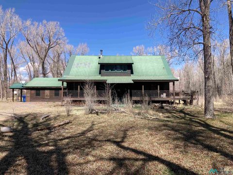 Homes For Sale - 4189 Choke Cherry Drive<br/> Rio Arriba County, Chama, NM 87520