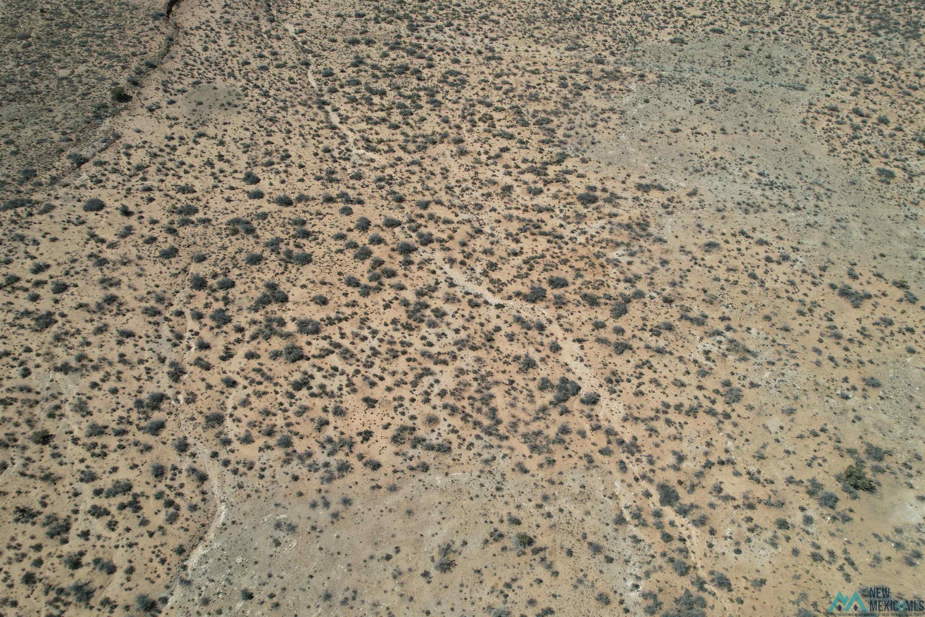 East Of 185 W Illinois Road, Carlsbad, New Mexico image 3