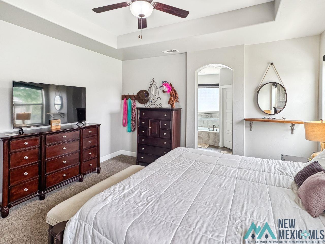 406 Plantation Court, Carlsbad, Texas image 22