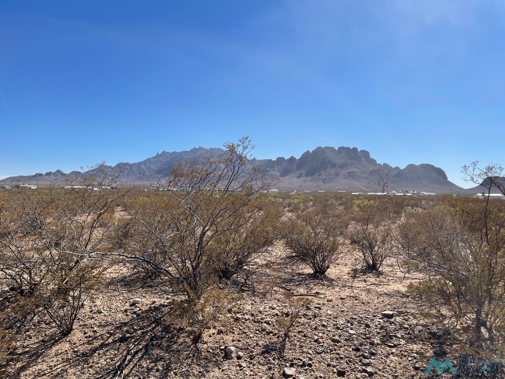 XXXX Desert Willow Rd Se, Deming, New Mexico image 1