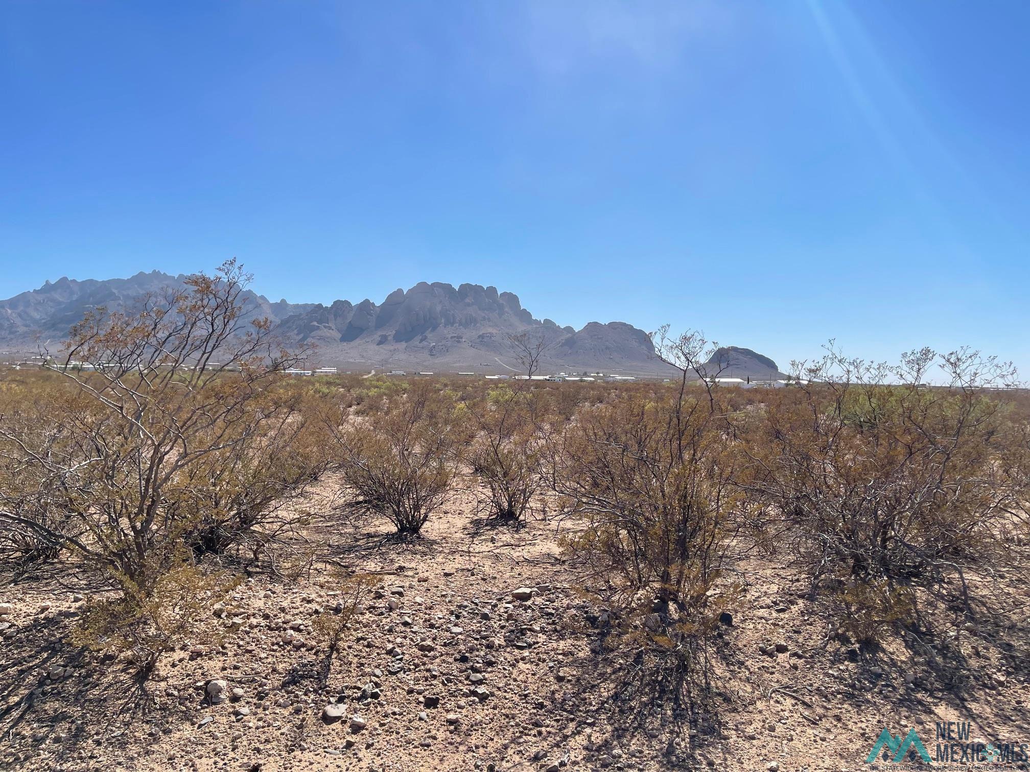 XXXX Desert Willow Rd Se, Deming, New Mexico image 2