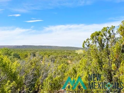 Vacant Land For Sale - 40 ACRES Off Of Cr B-29<br/> Ribera, NM 87560