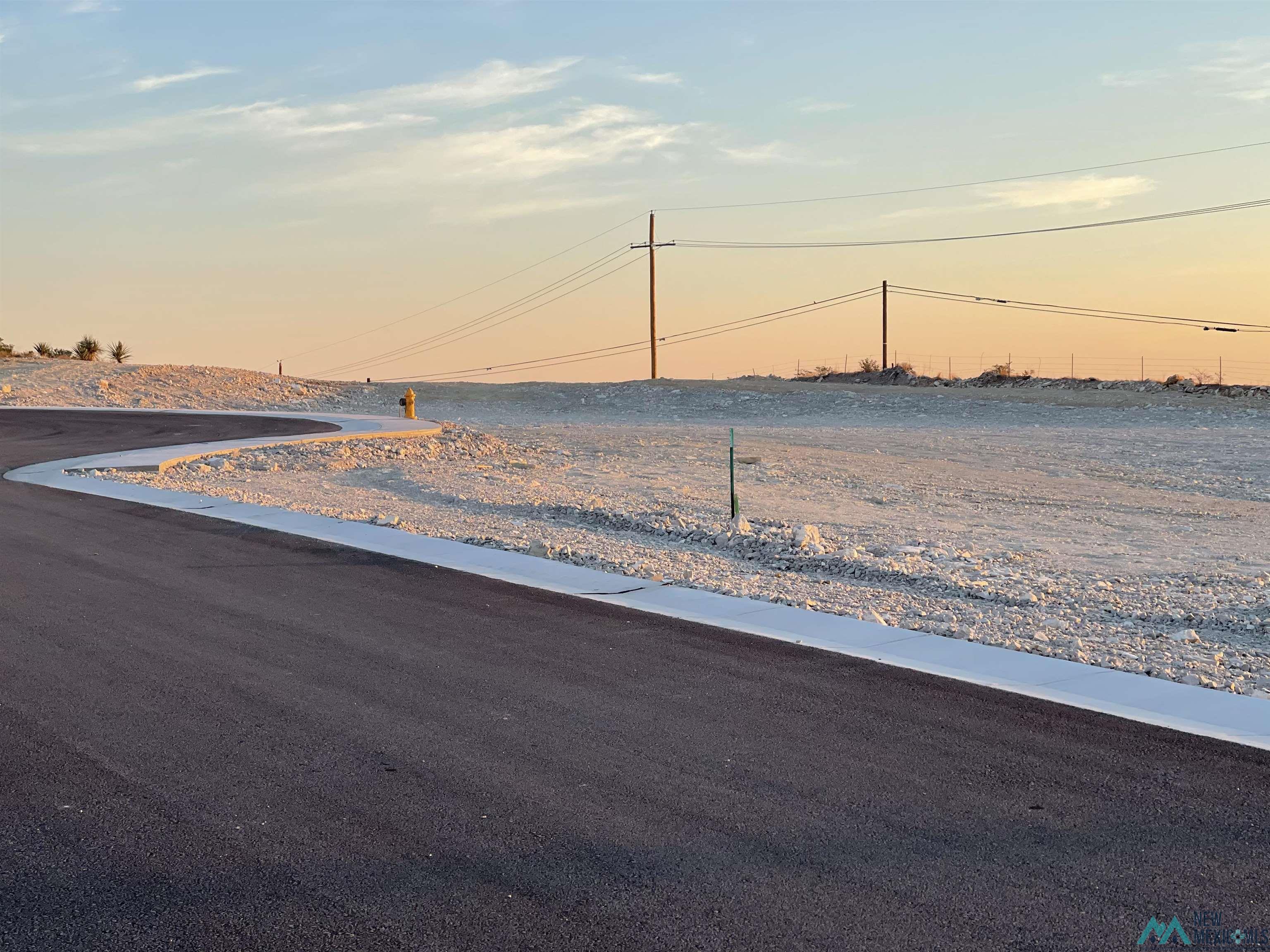 1610 Skyline Drive, Carlsbad, New Mexico image 3