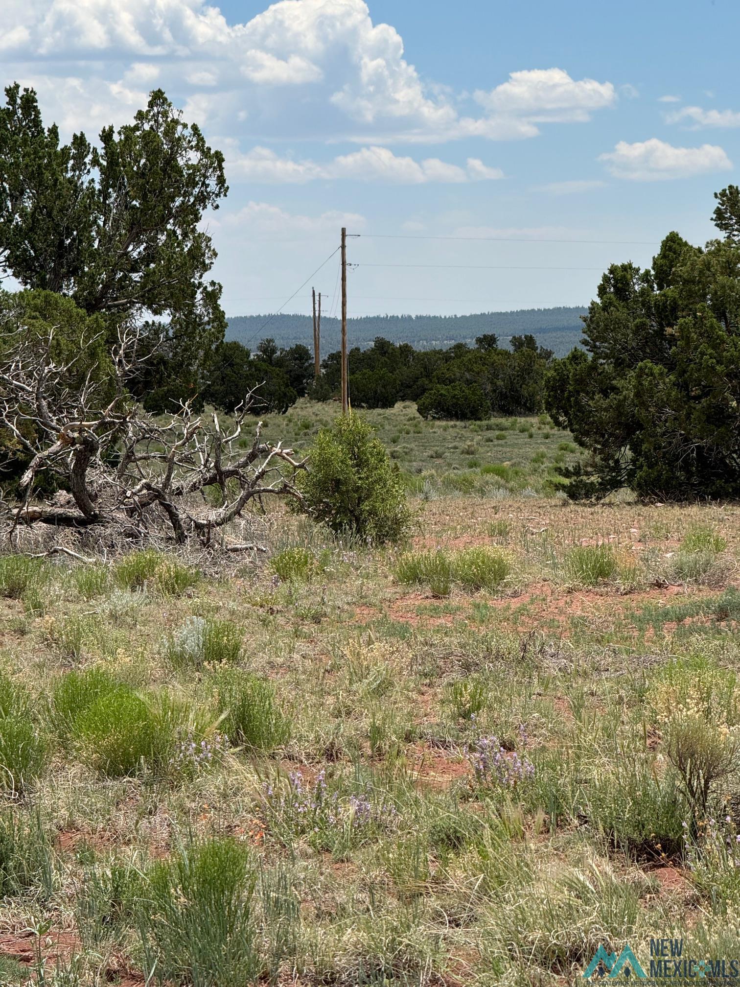 Lot 23 Seewald Estates, Thoreau, Texas image 7