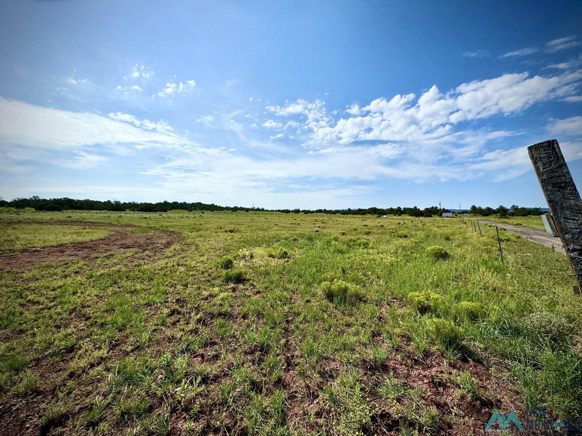 Lot 23 Seewald Estates, Thoreau, Texas image 11