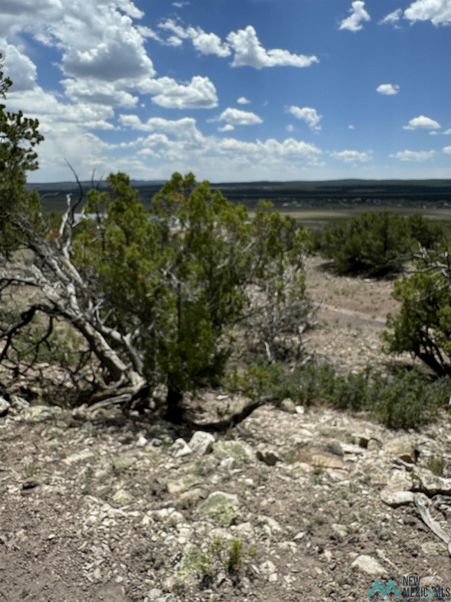 Lot 23 Seewald Estates, Thoreau, Texas image 2