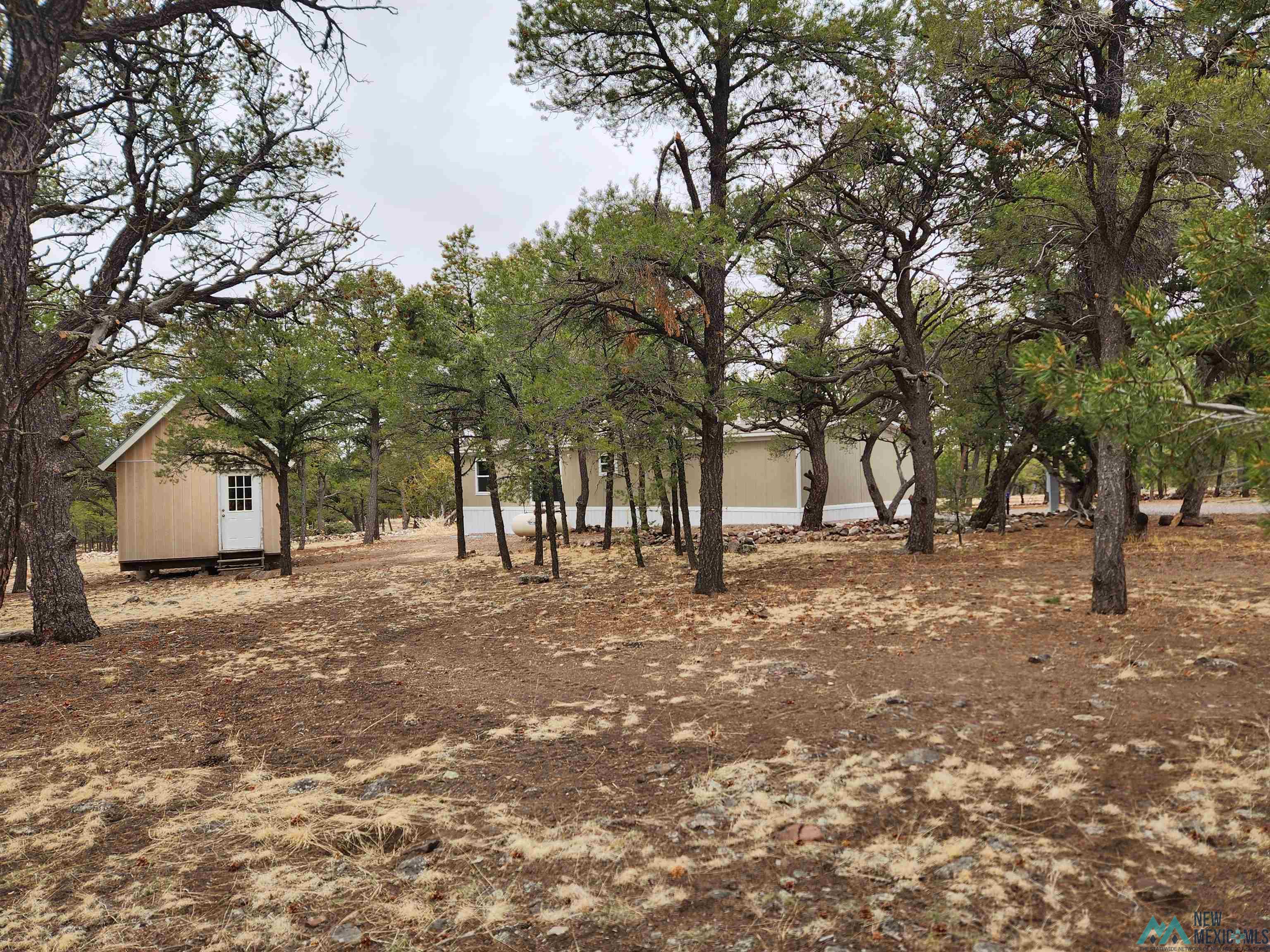 21 Branding Iron Road, Quemado, New Mexico image 25