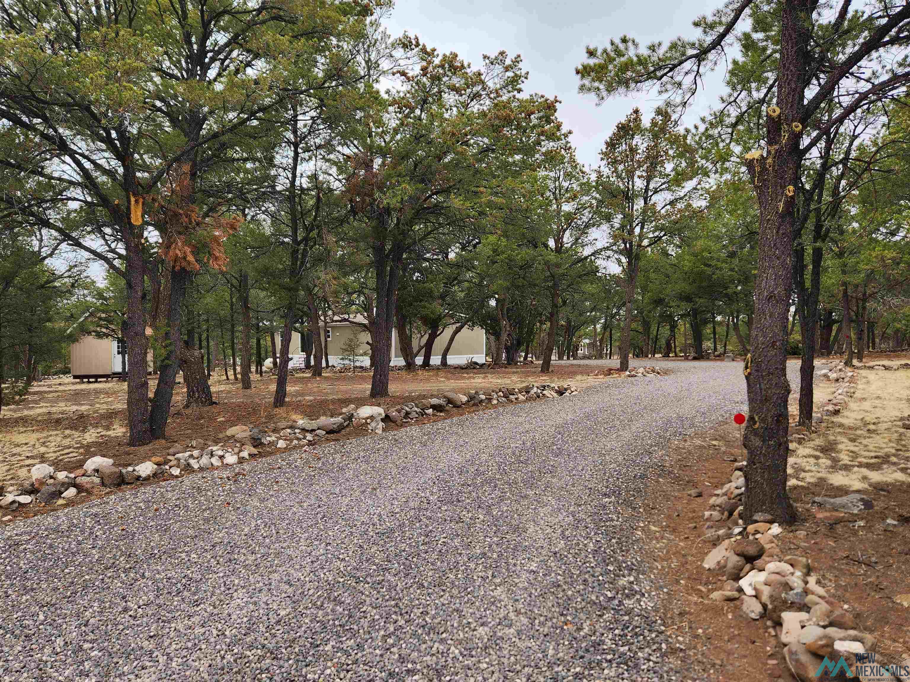 21 Branding Iron Road, Quemado, New Mexico image 2