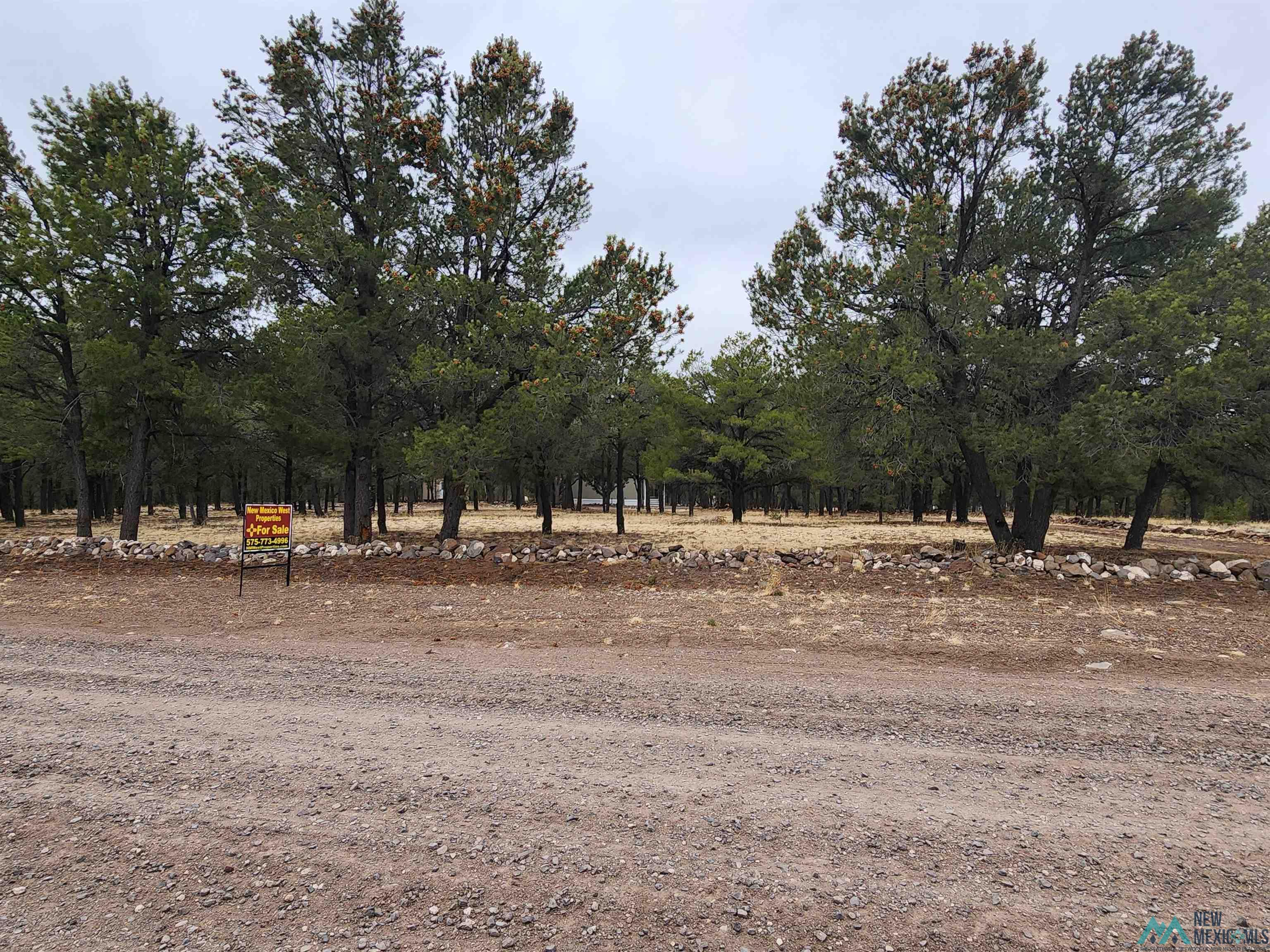 21 Branding Iron Road, Quemado, New Mexico image 28