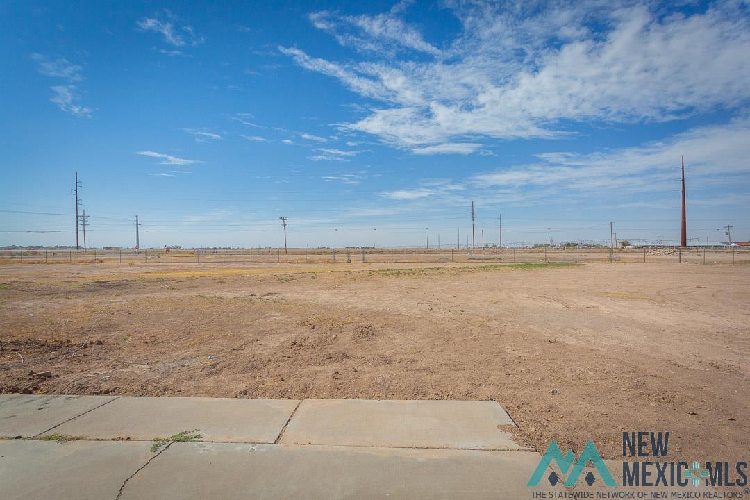 1206 W Mill Road, Artesia, New Mexico image 42