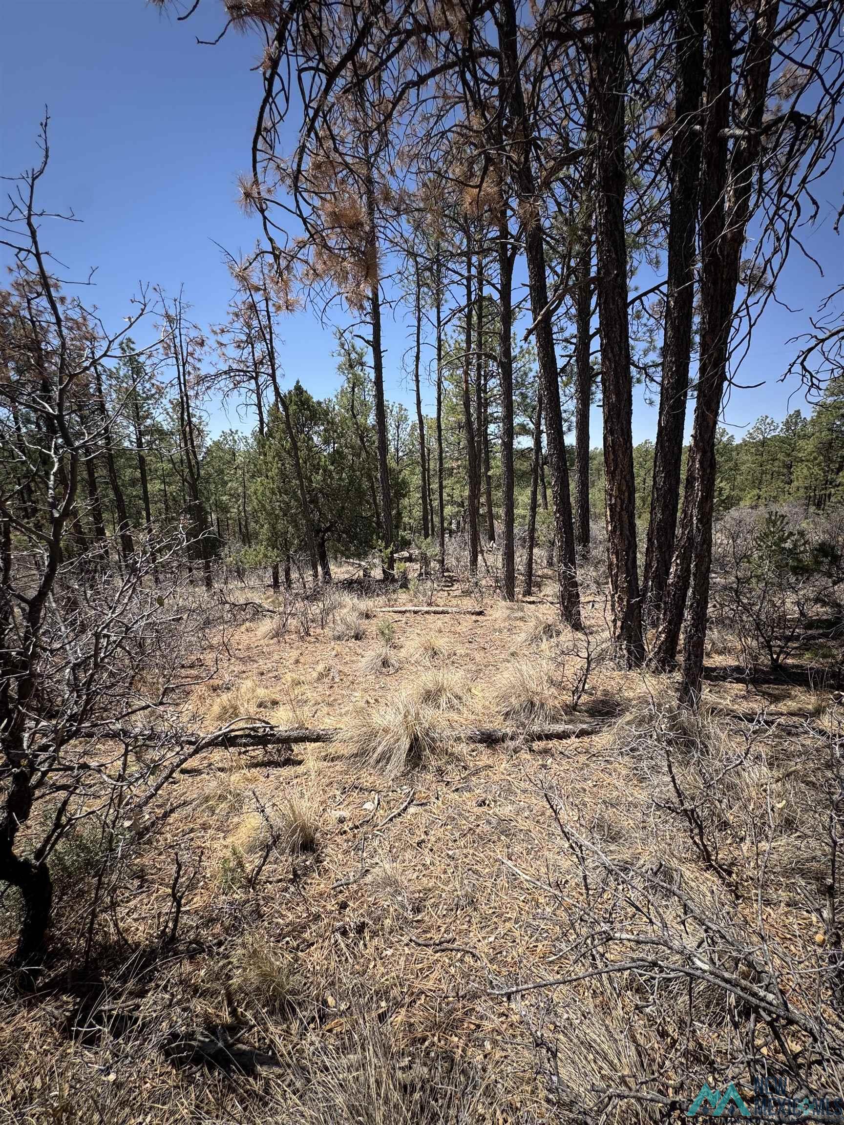 27 Hayssinia Street, Timberon, New Mexico image 1