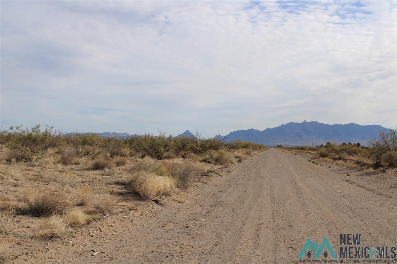 Dr Unit 78 Bk 15 Lots 1-4, Deming, New Mexico image 8