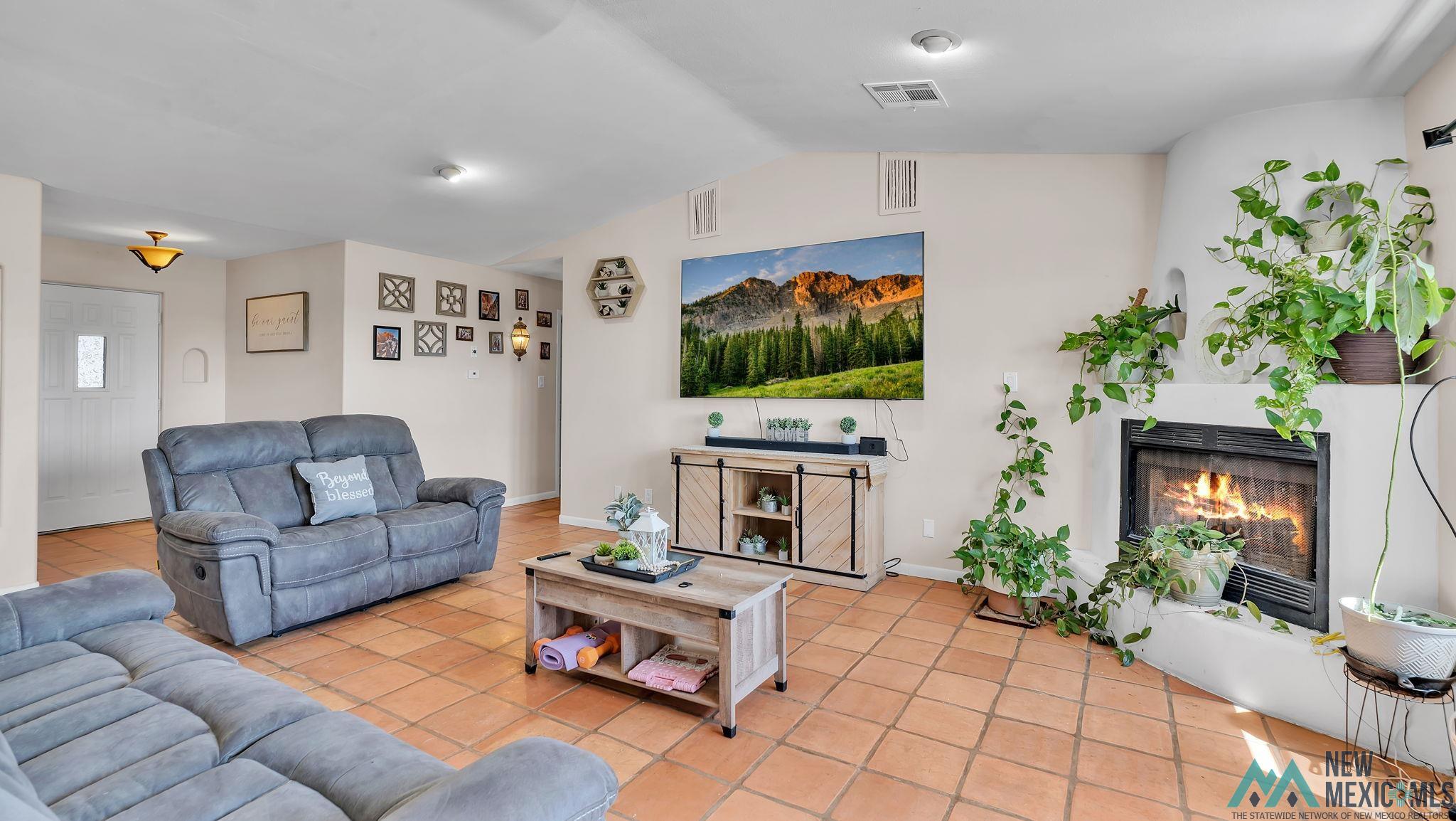 1109 Skyline Drive, Elephant Butte, Texas image 15