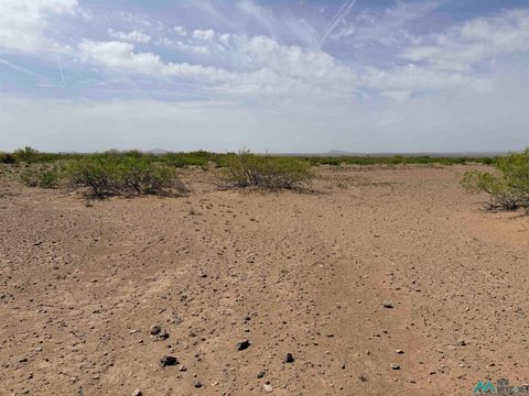Vacant Land For Sale - XXXX Needles Eye Rd Se<br/> Luna County, Deming, NM 88030