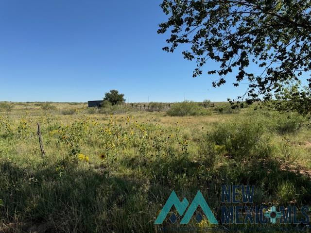 5900 Quay Road Ag Road, Tucumcari, Texas image 27