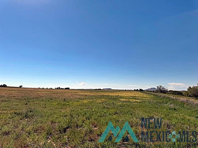 5900 Quay Road Ag Road, Tucumcari, Texas image 3