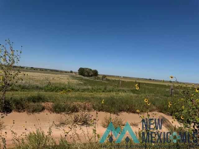 5900 Quay Road Ag Road, Tucumcari, Texas image 6