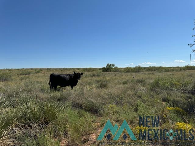 5900 Quay Road Ag Road, Tucumcari, Texas image 7