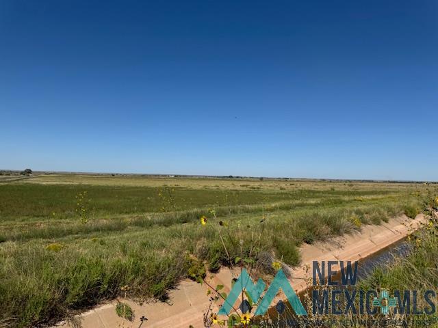 5900 Quay Road Ag Road, Tucumcari, Texas image 4
