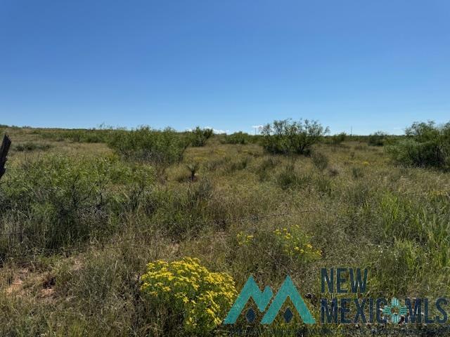 5900 Quay Road Ag Road, Tucumcari, Texas image 22