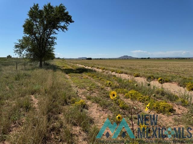 5900 Quay Road Ag Road, Tucumcari, Texas image 25