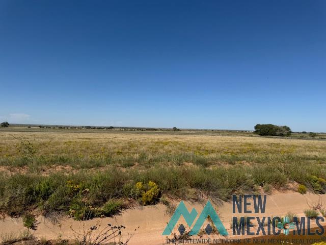 5900 Quay Road Ag Road, Tucumcari, Texas image 9