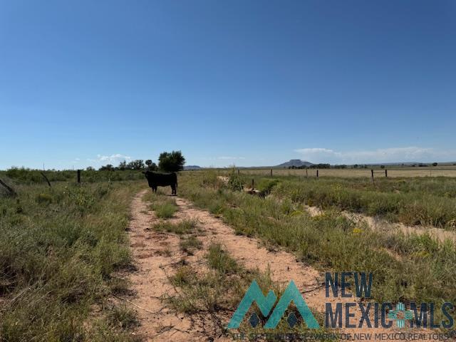 5900 Quay Road Ag Road, Tucumcari, Texas image 29