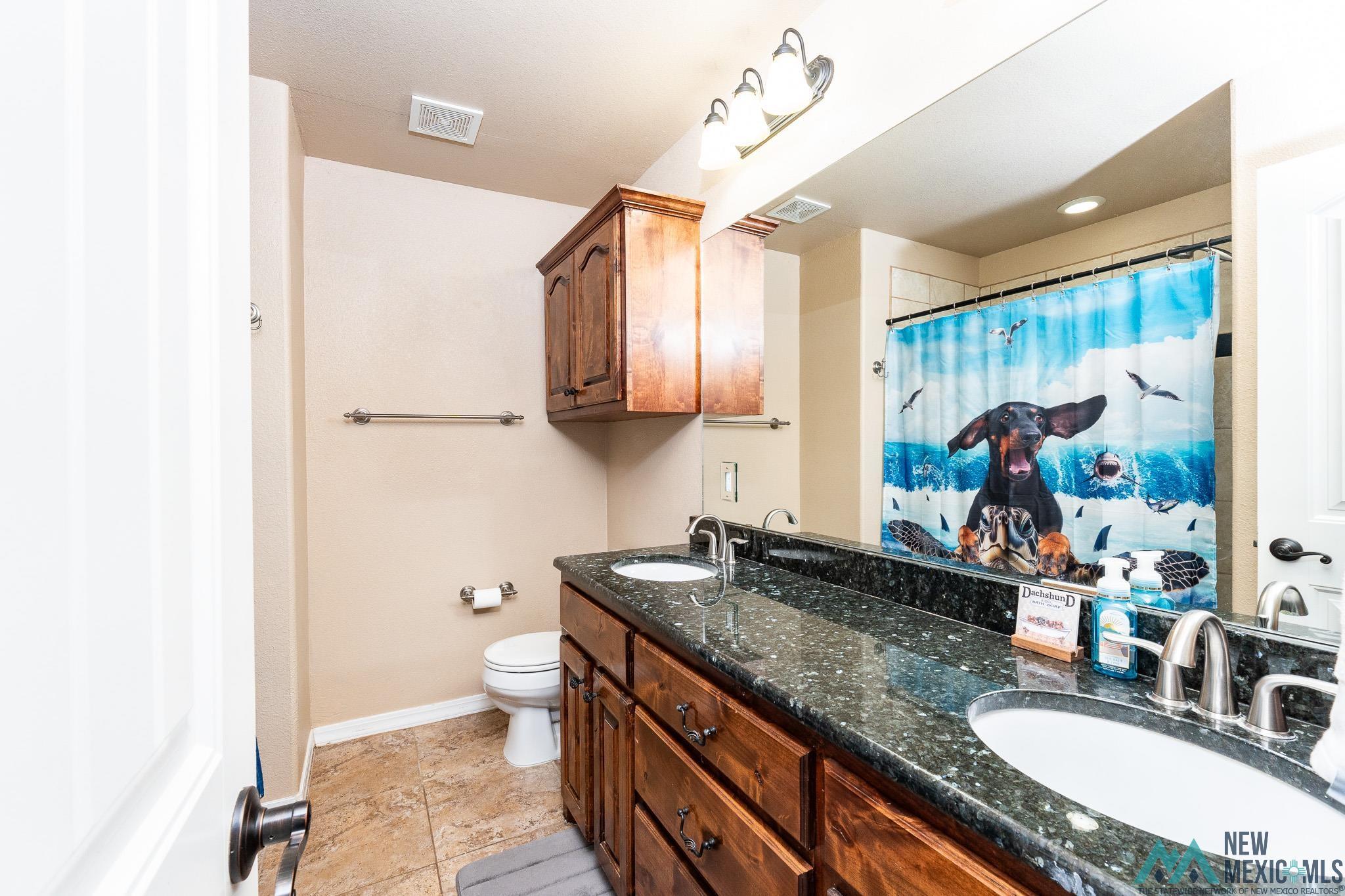 113 Asher Drive, Clovis, Texas image 26