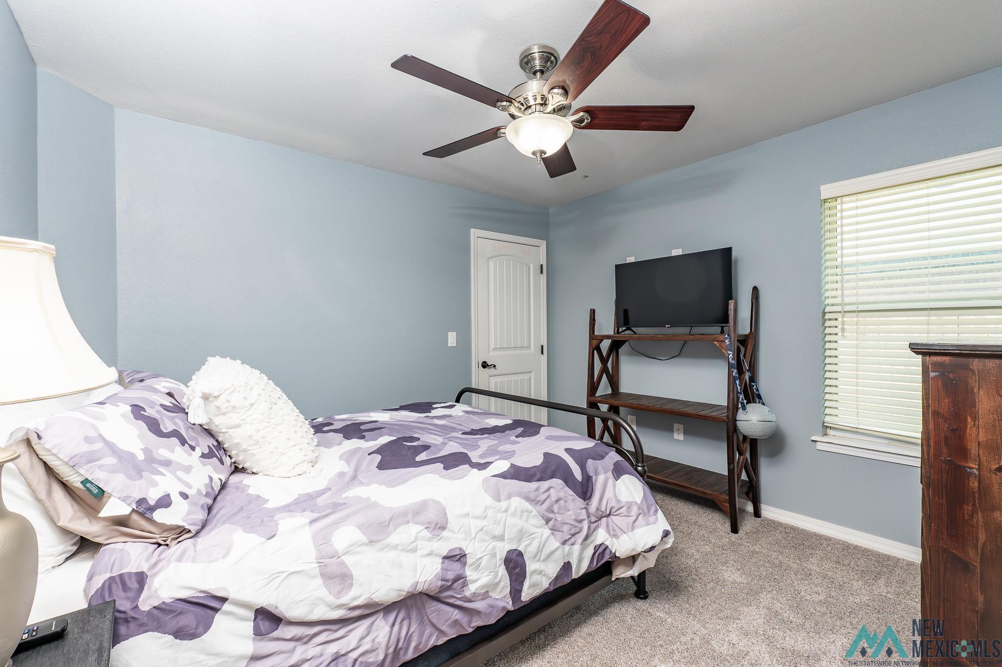 113 Asher Drive, Clovis, Texas image 25