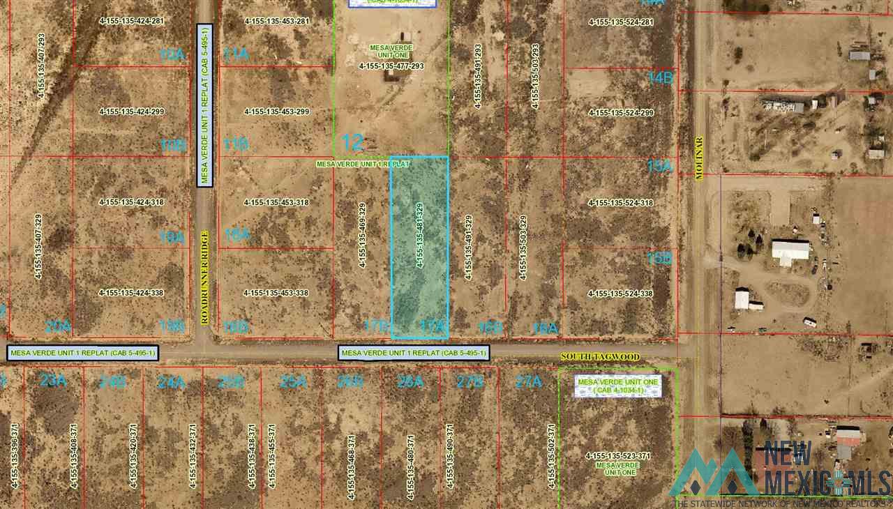 Lot 17A S Tagwood Lane, Carlsbad, New Mexico image 8