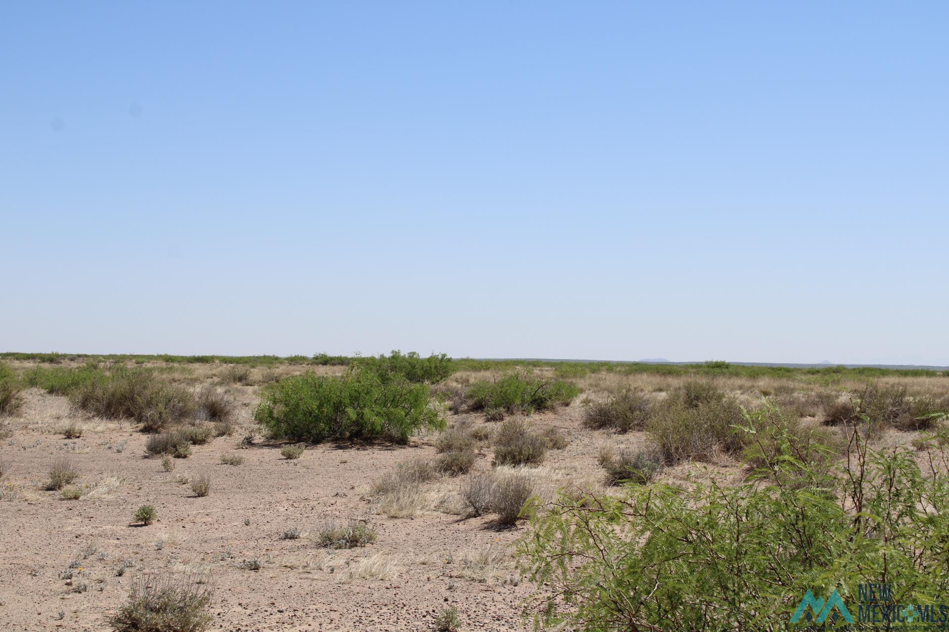 Harrison Rd Se, Deming, New Mexico image 3