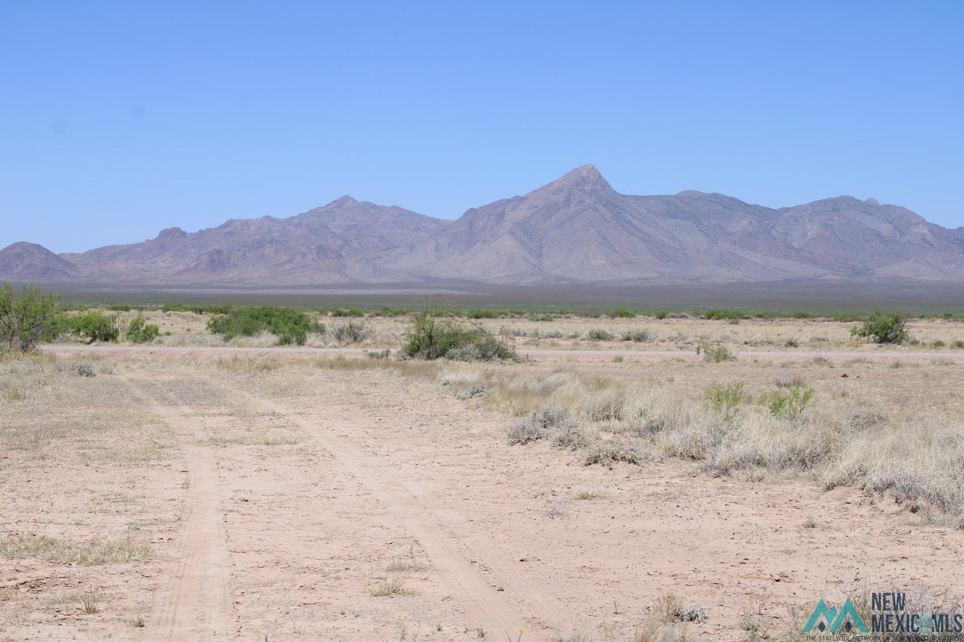 Harrison Rd Se, Deming, New Mexico image 11