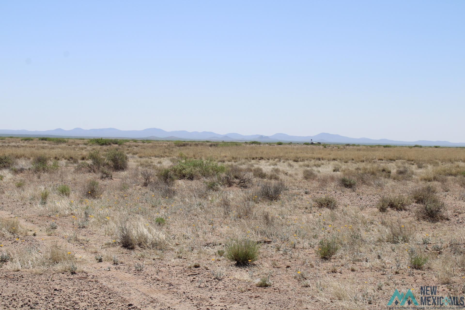 Harrison Rd Se, Deming, New Mexico image 5