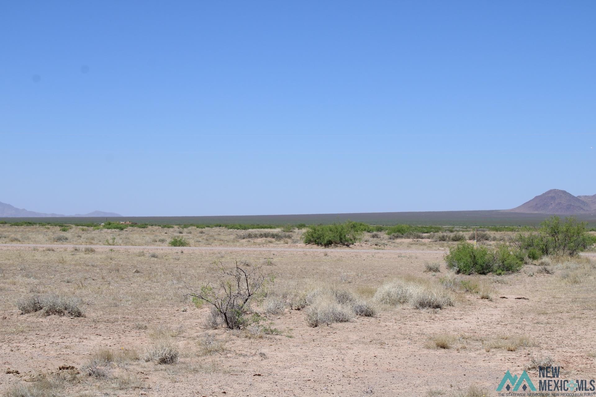 Harrison Rd Se, Deming, New Mexico image 10